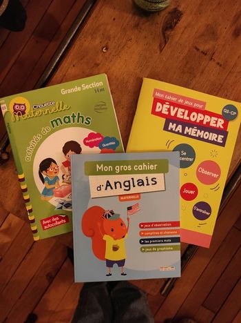 Lot 3 cahiers exercices Grande Section