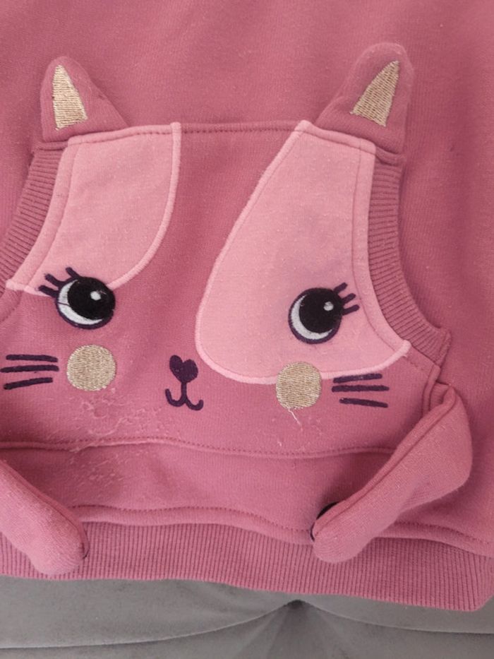 Sweat à capuche Du pareil au Meme taille 2 ans - photo numéro 3