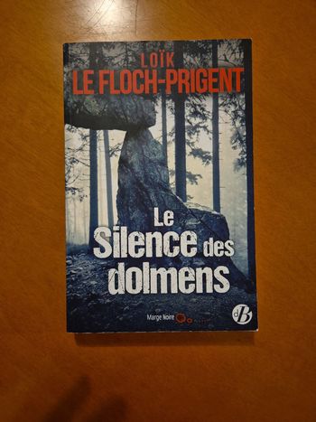 Le livre le silence des dolmens