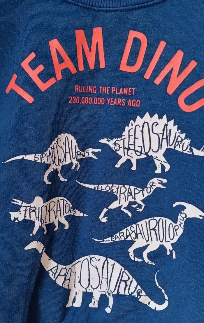 Pulls/Sweats Bleu & Bordeau H&M Et Vertbaudet Garçon Lot De 2 - photo numéro 5