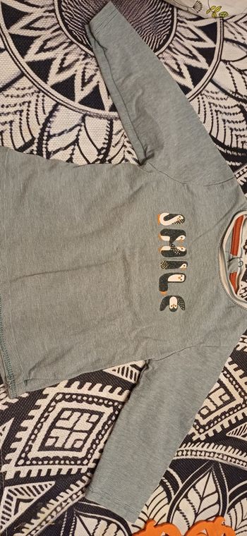 Pull pingouin