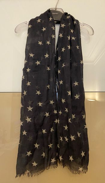 Echarpe grise étoiles