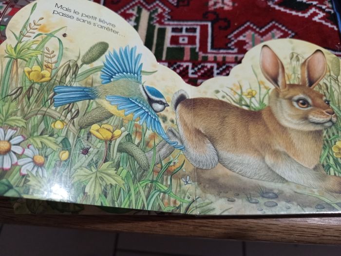 Livre pour enfants La mésange - photo numéro 4