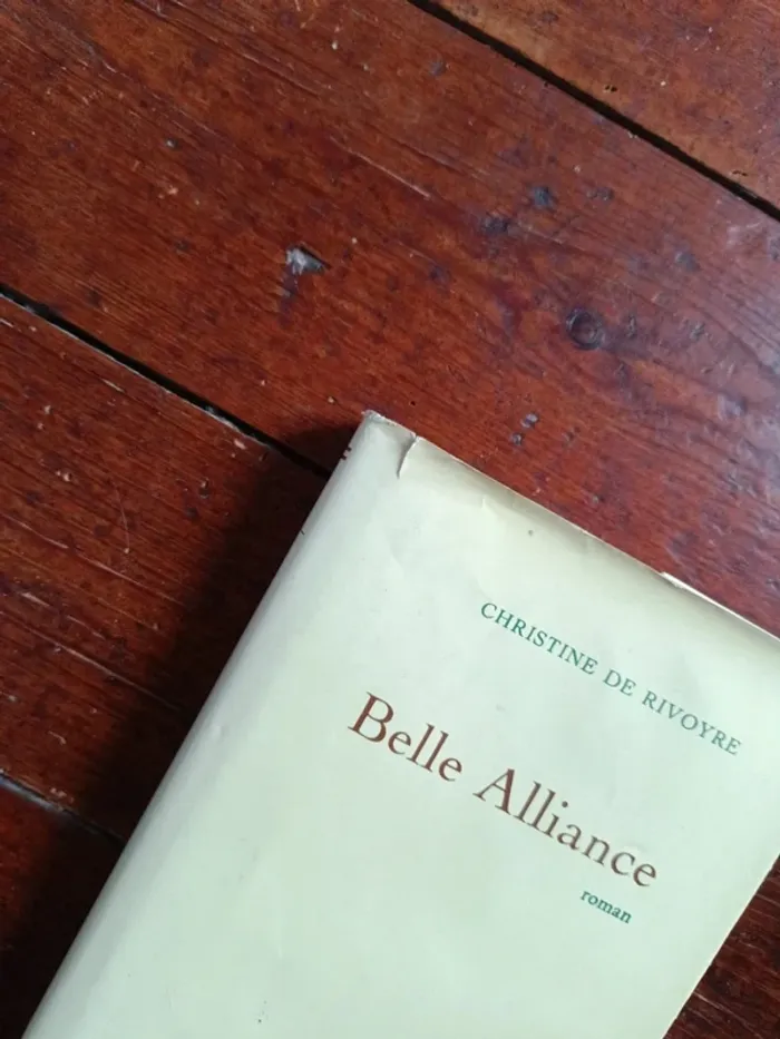 Roman : belle alliance - photo numéro 3