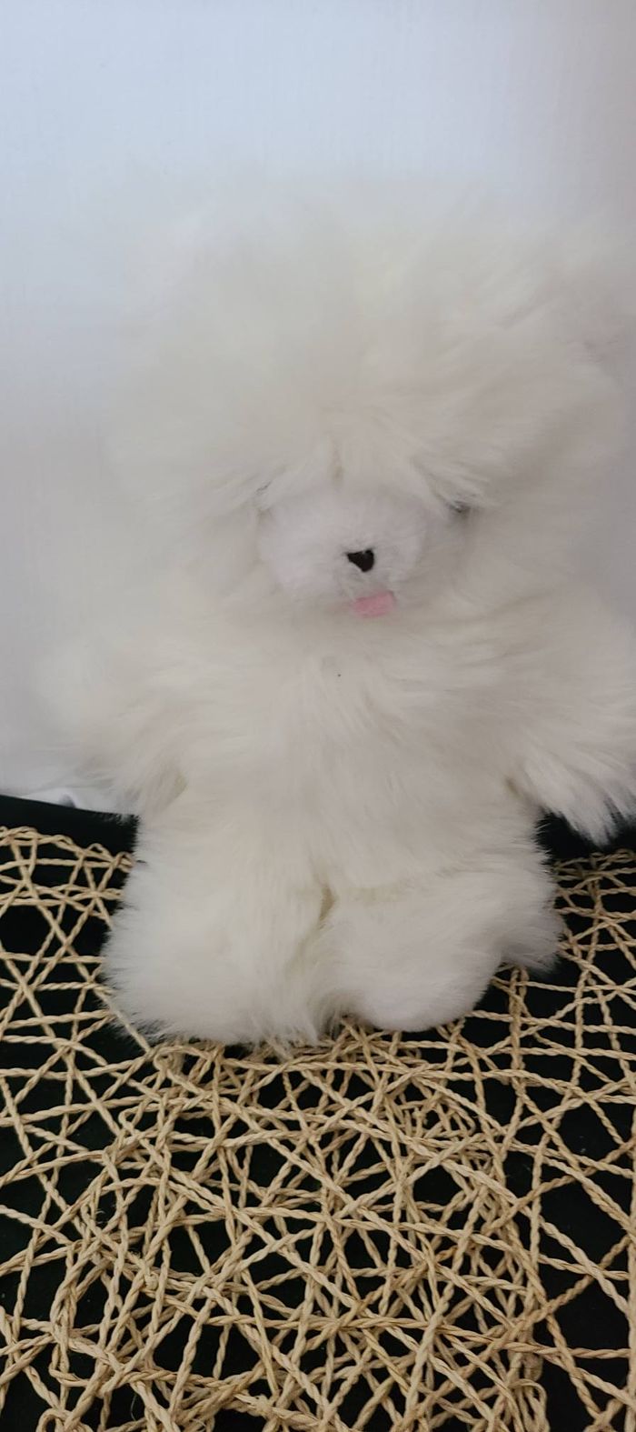 Peluche Ours Boulgom plume plus d'etiquette - photo numéro 4