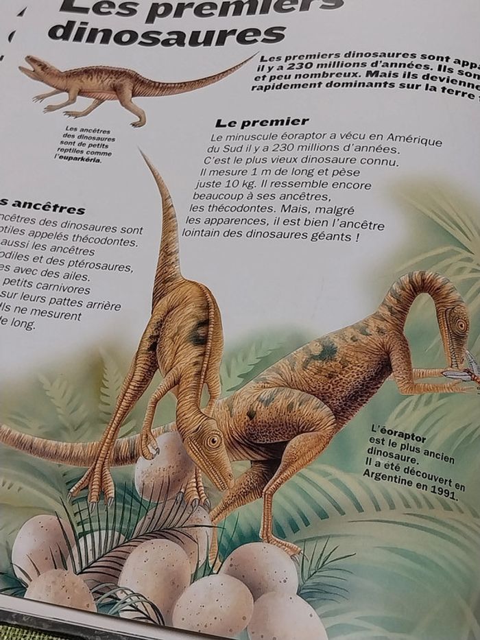 Les dinosaures livre enfant jeunesse Larousse - photo numéro 4