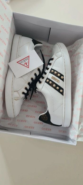 Baskets guess T36