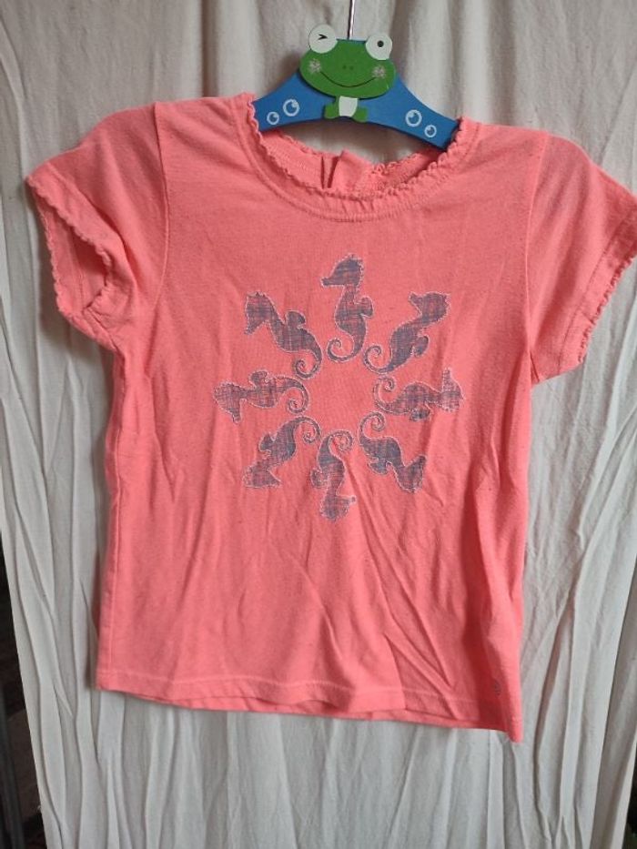 Tee shirt hypocampe