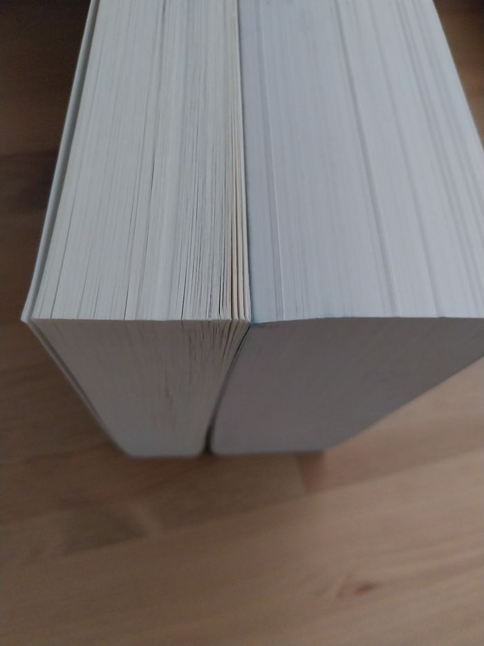 Romans Keleana tomes 7 Le Royaume de Cendres + Préquel 0.5- Sarah J. Maas La Martinière - photo numéro 6