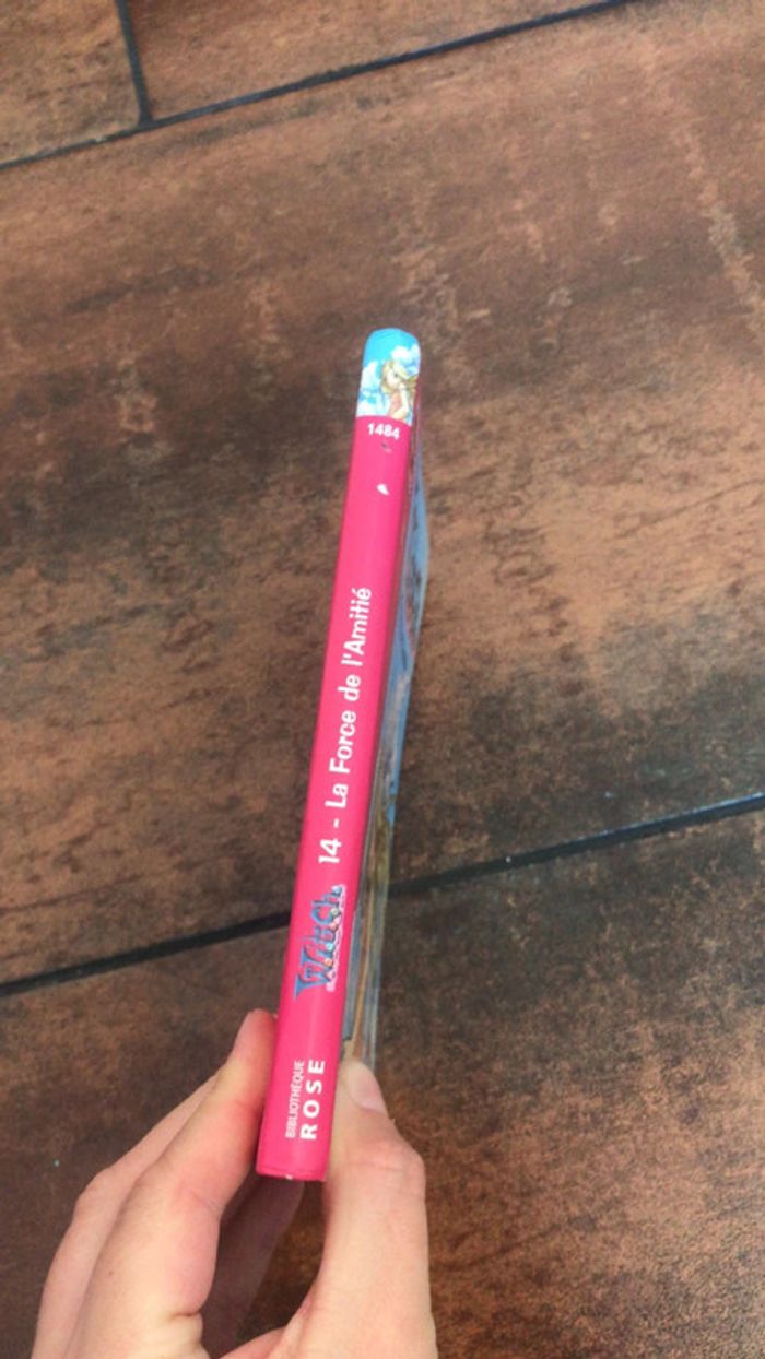 Livre witch - photo numéro 2