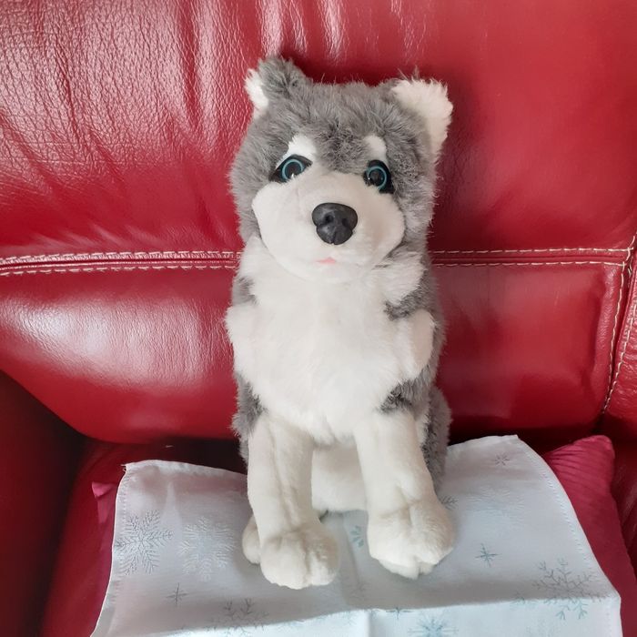 Peluche Husky *31 cm - photo numéro 10