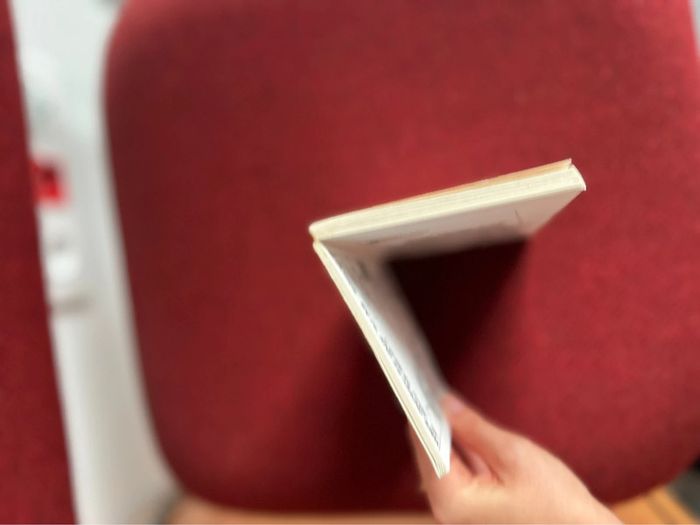 Livre Binet Les Bidochon - photo numéro 10