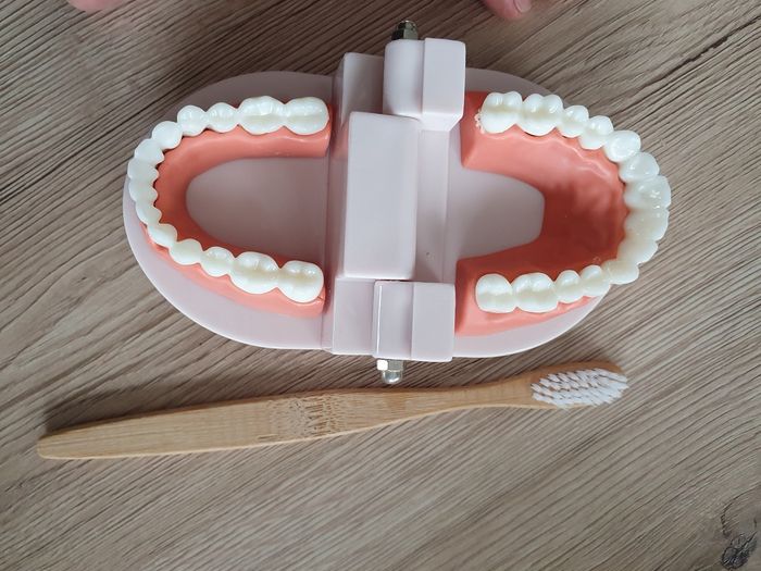 J apprends à me laver les dents méthode montessori - photo numéro 2