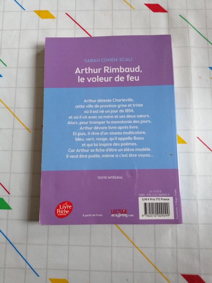 Arthur Rimbaud, le voleur de feu - photo numéro 2