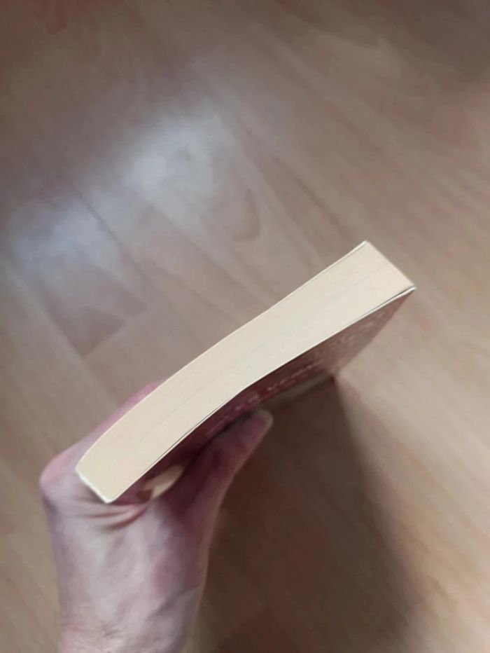 Voyage au centre de la terre - photo numéro 3