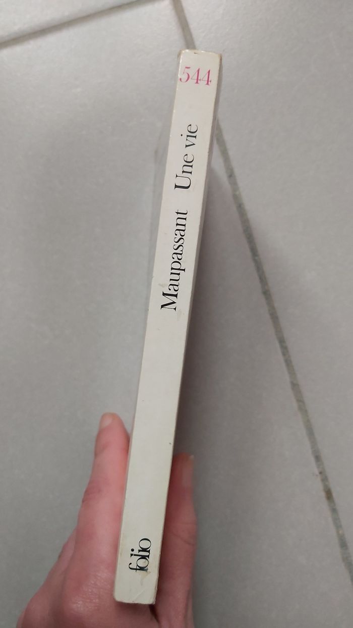 Une vie - photo numéro 2