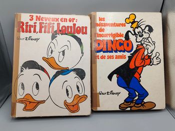 2 ancien livre album Disney vintage