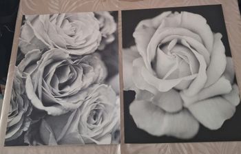 Lot de 2 toiles/ affiches imprimé fleurs noir et blanc 