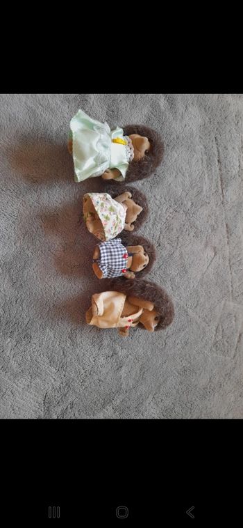 Famille hérisson