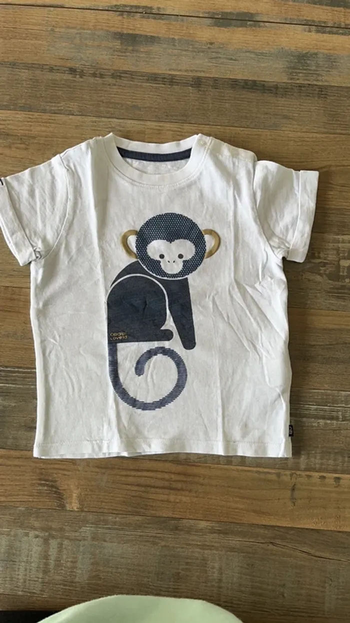 Teeshirt singe