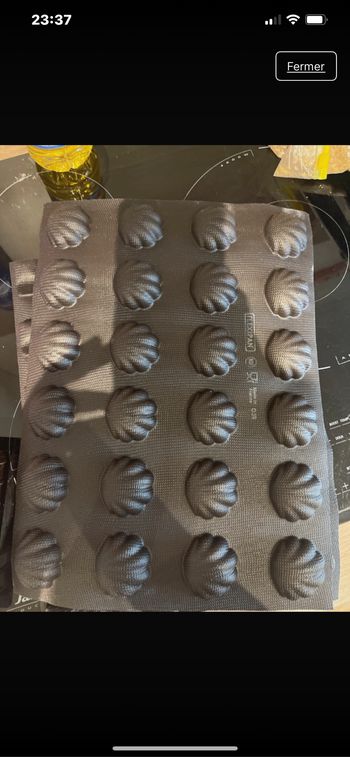 Moule 48 coquillages Guy Demarle