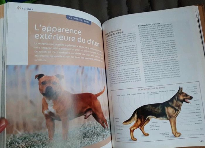 Larousse du chien - photo numéro 5