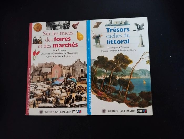 Lot de 2 livres guides Galimard
