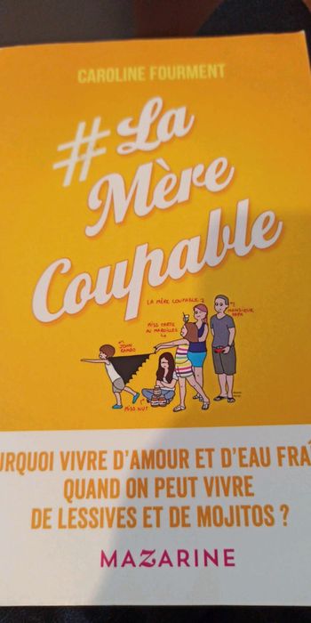 Livre la mère coupable