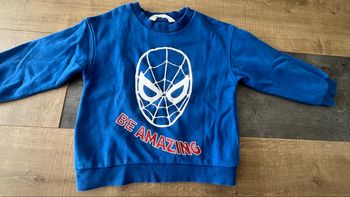 Sweat Spiderman 