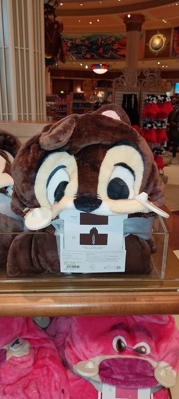 Pick-up plaid capuche Tic Disney