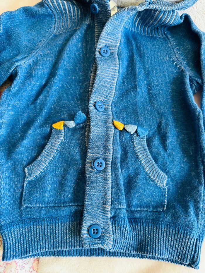 Gilet à capuche 6 mois - photo numéro 4