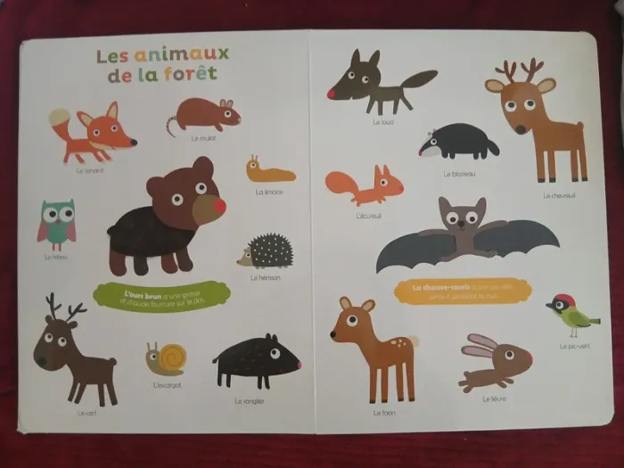 Livre "Mes premiers animaux à toucher" 📚 - photo numéro 3