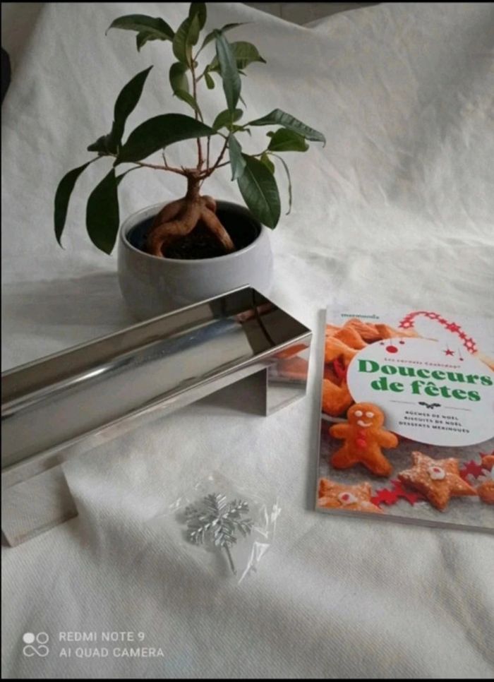 coffret buche noel : livre recette + moule inox