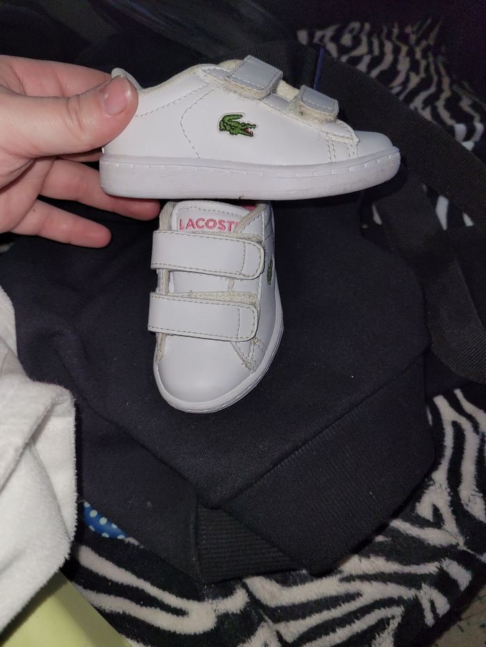 Basket lacoste