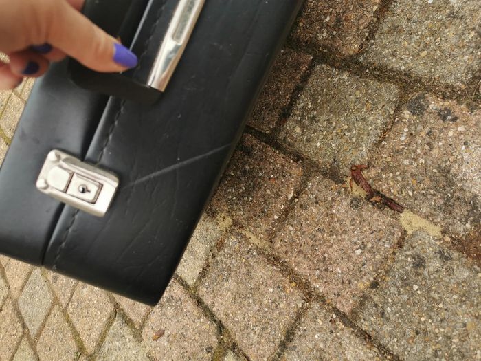 Valise ancienne des années 1960 pour le nécessaire de toilette - photo numéro 5