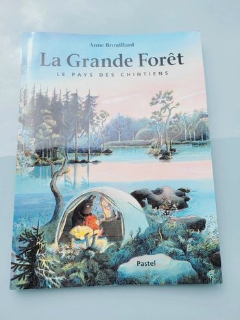 Livre couverture souple l'école des loisirs,  La Grande Forêt, le pays des Chintiens, 8-11 ans (26)