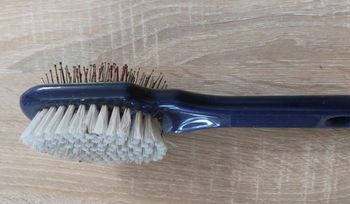 Brosse chat ou chien