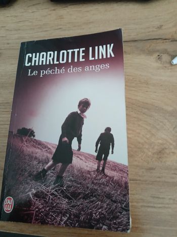 LIVRE LE PECHE DES ANGES DE CHARLOTTE LINK