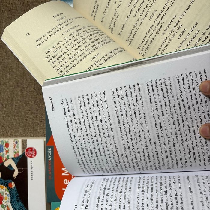 Lots de 7 livres pour le bac de français - photo numéro 7
