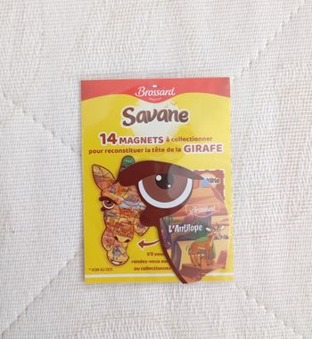 Magnet L'Antilope Savane Brossard 