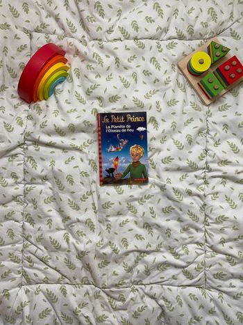 livre le petit prince la planète de l'oiseau de feu tome 2