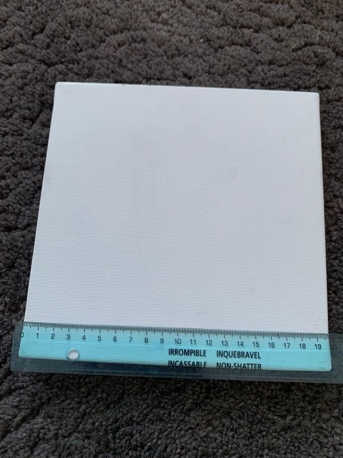 Toiles vierges - photo numéro 3