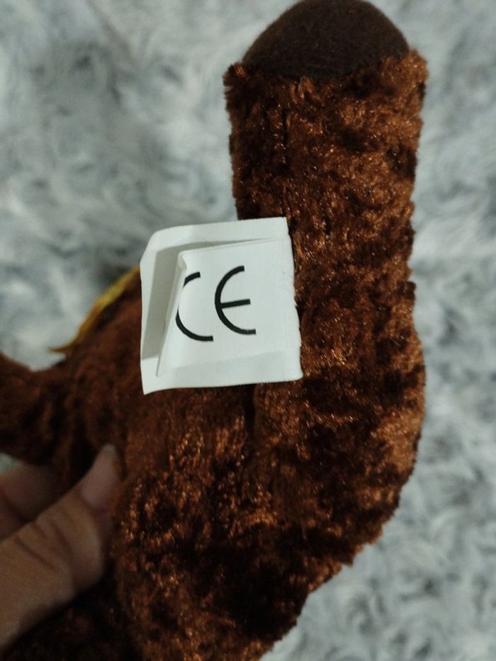 Petit nounours - photo numéro 4