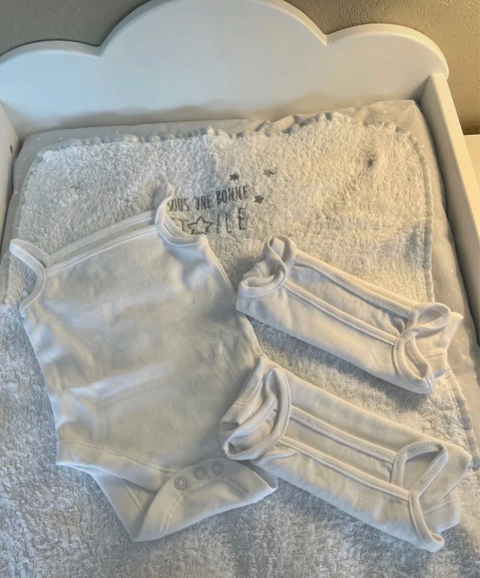 Lot 3 bodies