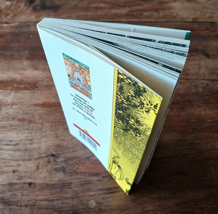 Les Chevaliers du Zodiaque Tome 21 Kana Français 🇨🇵 - photo numéro 8