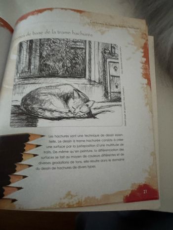 Le dessin-bases-techniques -motifs