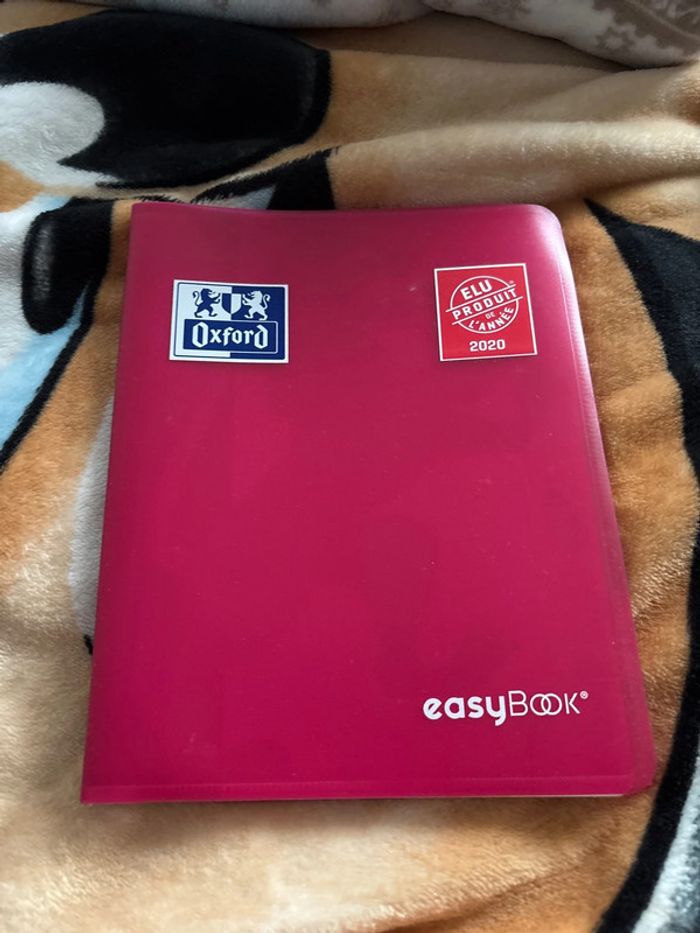 Lot cahier - photo numéro 3