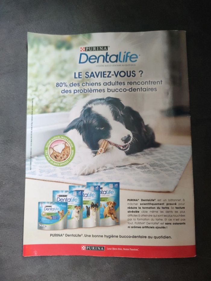 Magazine 30 millions d'amis numéro 376 septembre 2019 - photo numéro 2