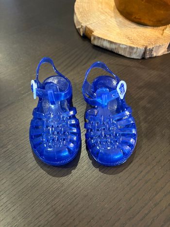 Méduses bleues