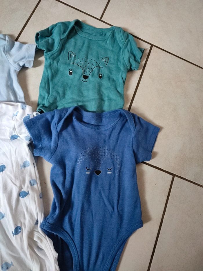 Lot body - photo numéro 4